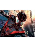 Miles Morales Costumes Miles Morales Costumes