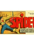 Alias the Spider costume Alias the Spider costume