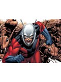Antman costume Antman costume
