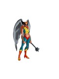 Hawkgirl costume Hawkgirl costume
