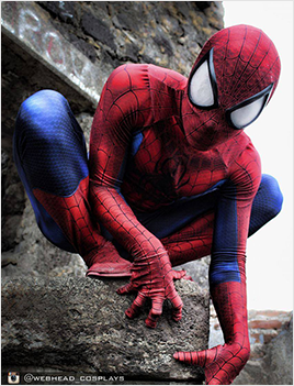 Ultimate Spiderman Costume