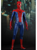 The Amazing Spider-Man Costume