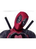Deadpool Costumes Deadpool Costumes