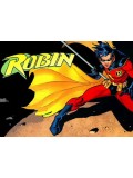 Robin Costumes Robin Costumes