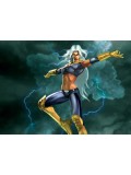 Storm Costumes Storm Costumes