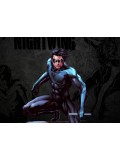 Nightwing Costumes Nightwing Costumes