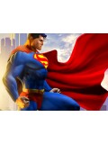 Superman Costumes Superman Costumes