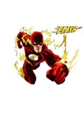 The Flash Costumes The Flash Costumes