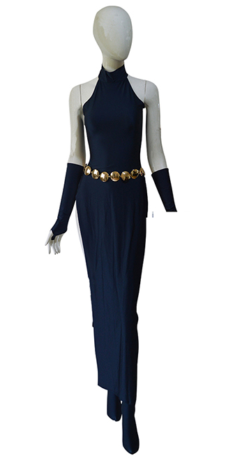Raven Dress DC Comics Female Navy Blue Spandex Cosplay Costume